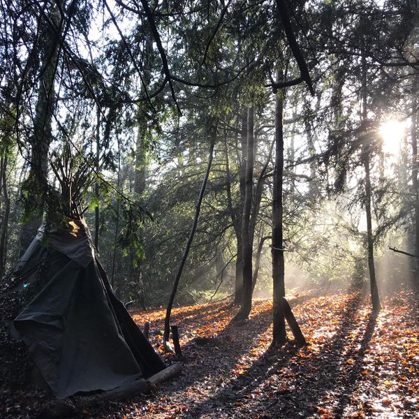 IOL Level 3 Bushcraft Competency Award Training